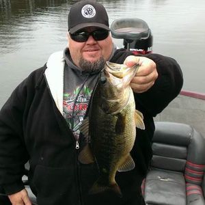 Meet your Posher, Bruce